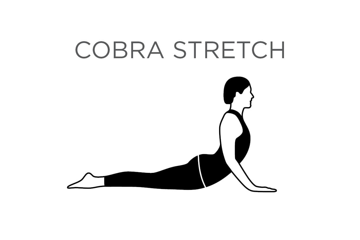 Illustrated diagram of a woman performing a cobra stretch