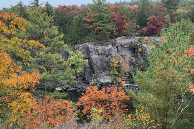 TCPC 2020 Pain Awareness Virtual 5k-Fall Colors