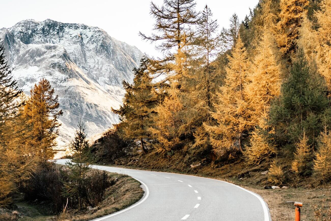 Winding road through yellow and green trees with mountain in background