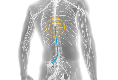 male nerves